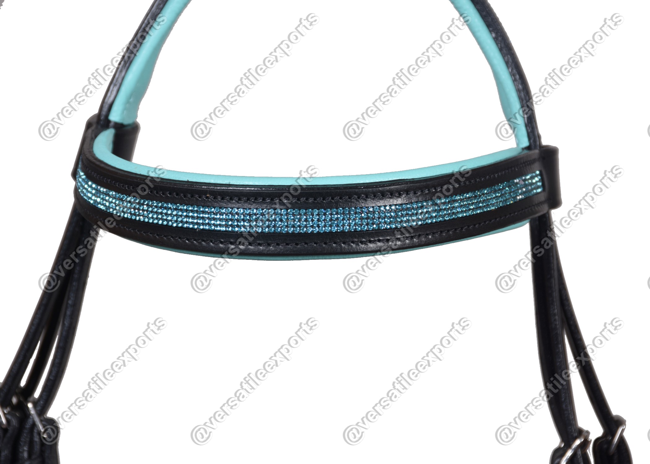 Bridle Shiny